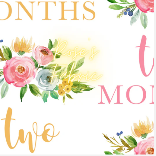 Baby Milestone Bundle & My First Easter & Christmas