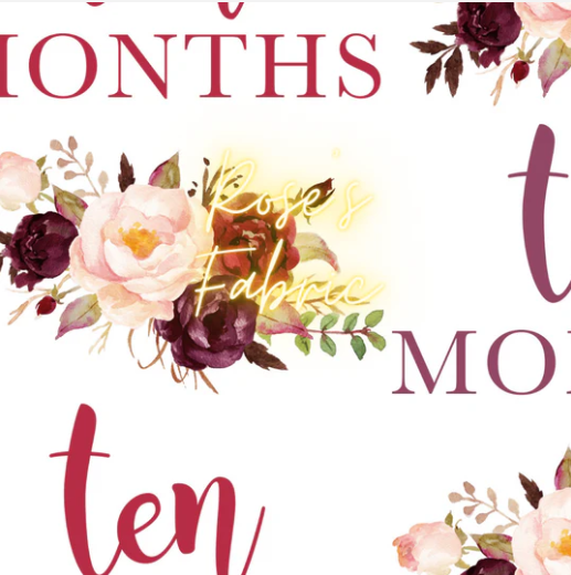 Baby Milestone Bundle & My First Easter & Christmas